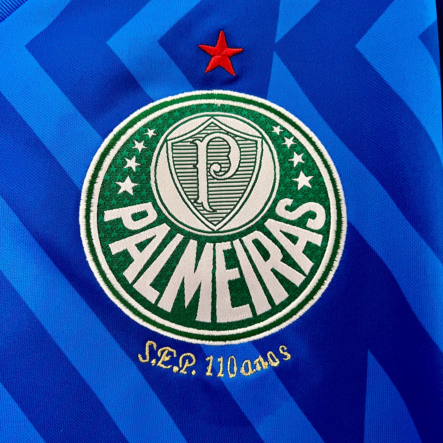 CAMISETA ARQUERO PALMEIRAS 2024 VERSIÓN FAN