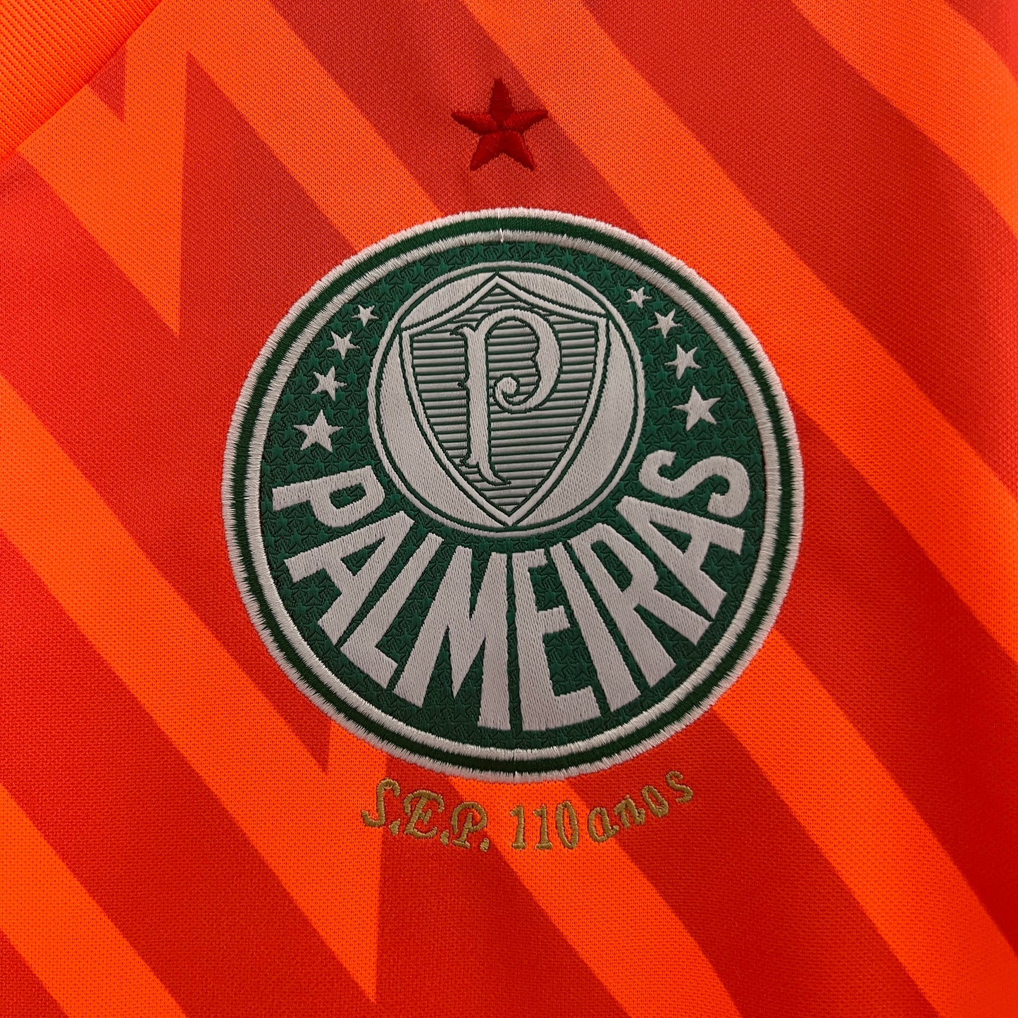 CAMISETA ARQUERO PALMEIRAS 2024 VERSIÓN FAN