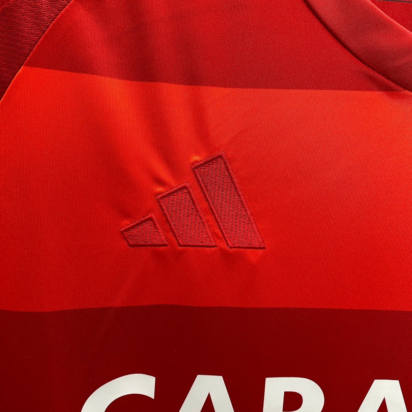 CAMISETA SEGUNDA EQUIPACIÓN REAL ZARAGOZA 24/25 VERSIÓN FAN