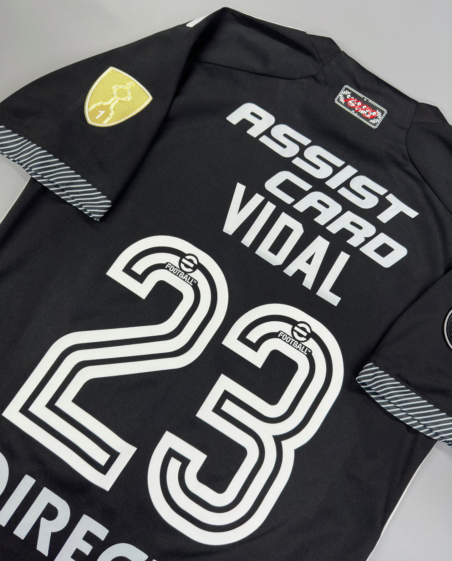 CAMISETA SEGUNDA EQUIPACIÓN COLO COLO 2024 VERSIÓN FAN