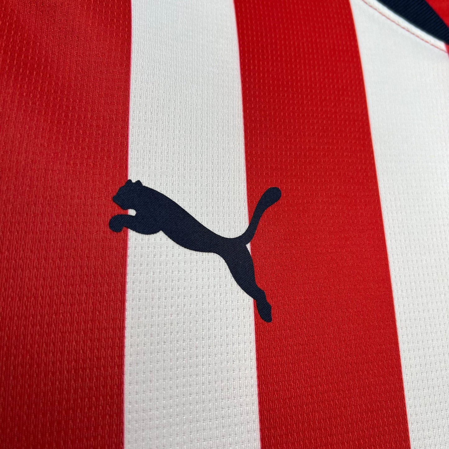 CAMISETA PRIMERA EQUIPACIÓN CHIVAS 2024 VERSIÓN FAN