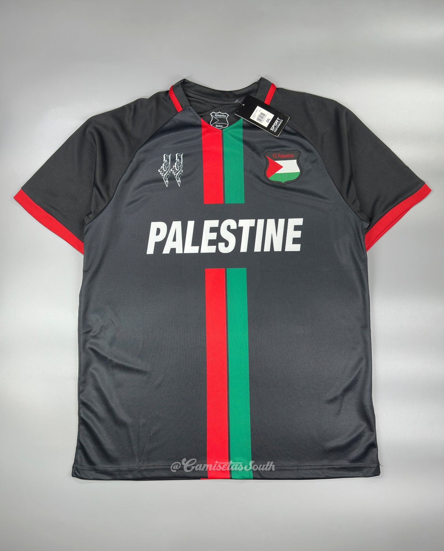 PALESTINA CONCEPTO 2024 VERSIÓN FAN