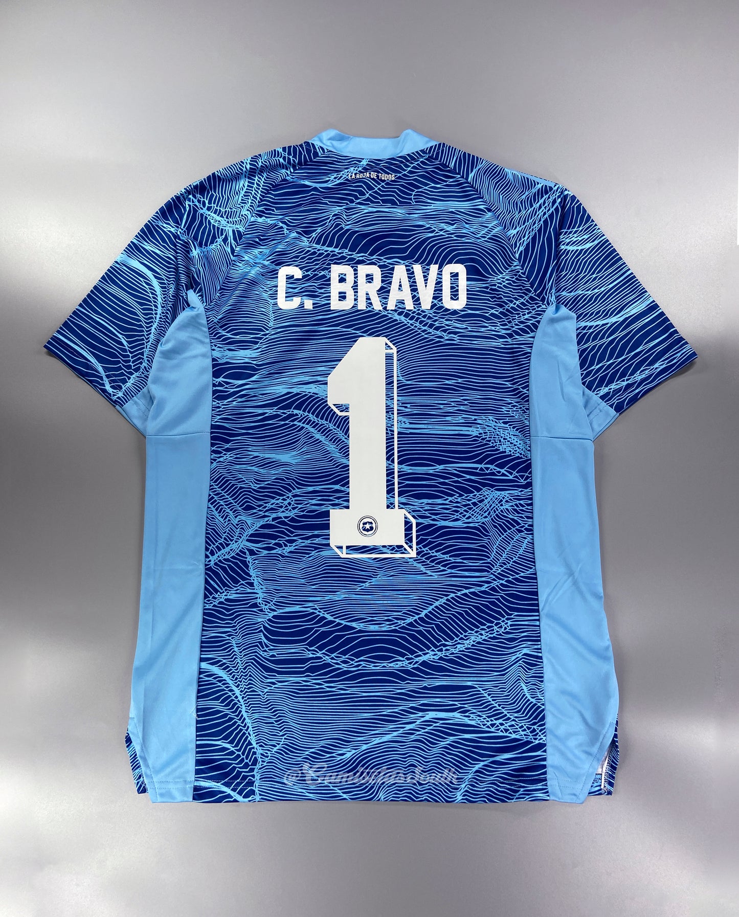 CAMISETA ARQUERO CHILE 2022 VERSIÓN FAN