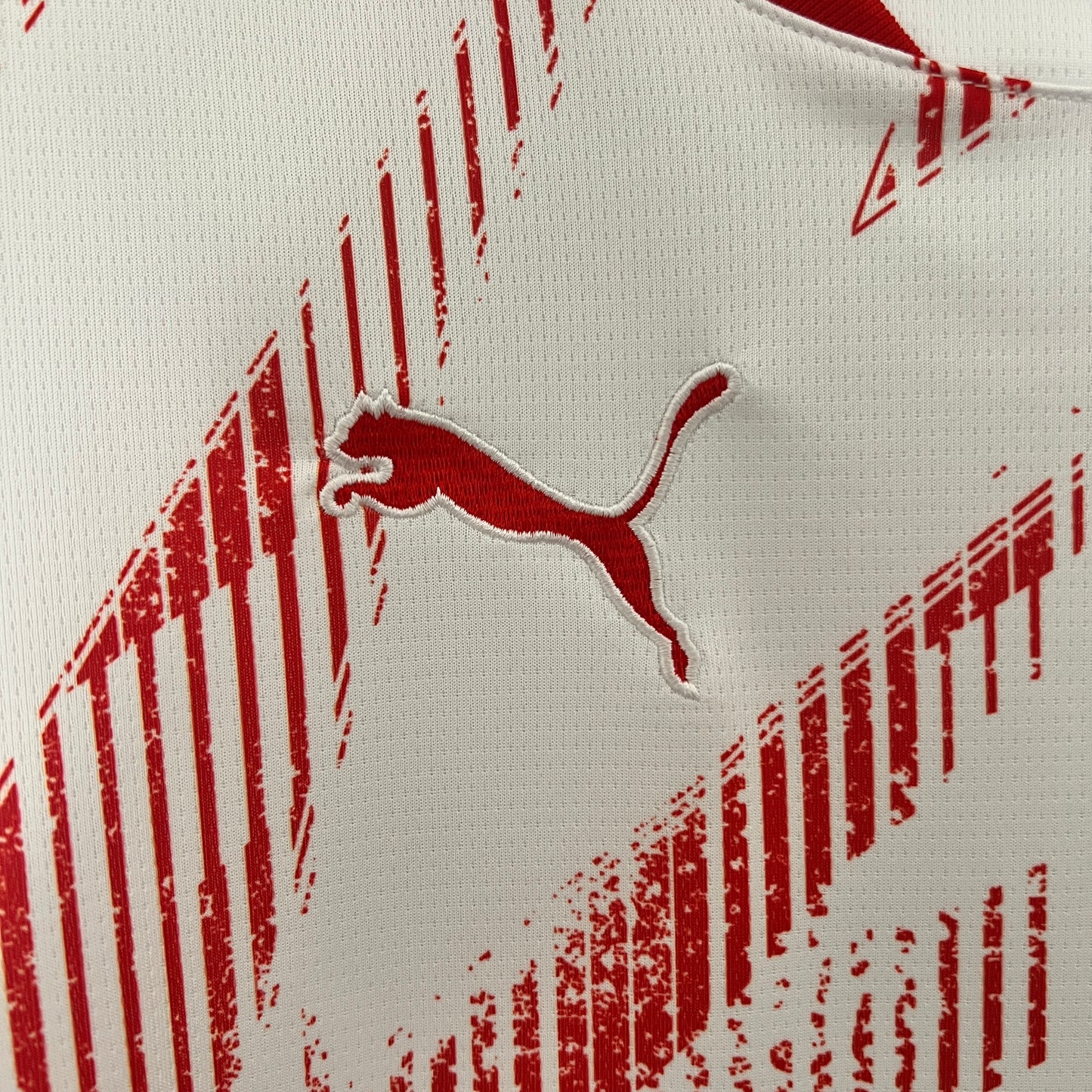 CAMISETA PRIMERA EQUIPACIÓN RB LEIPZIG 24/25 VERSIÓN FAN