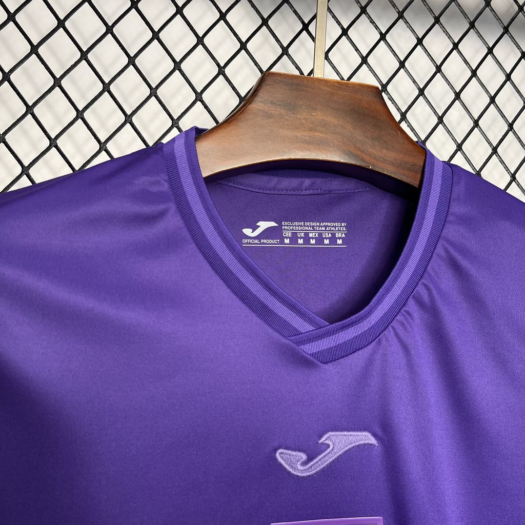 CAMISETA PRIMERA EQUIPACIÓN RSC ANDERLECHT 24/25 VERSIÓN FAN