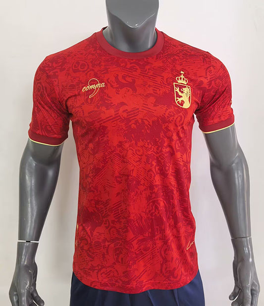 CAMISETA CONCEPTO ESPAÑA 2024 VERSIÓN FAN