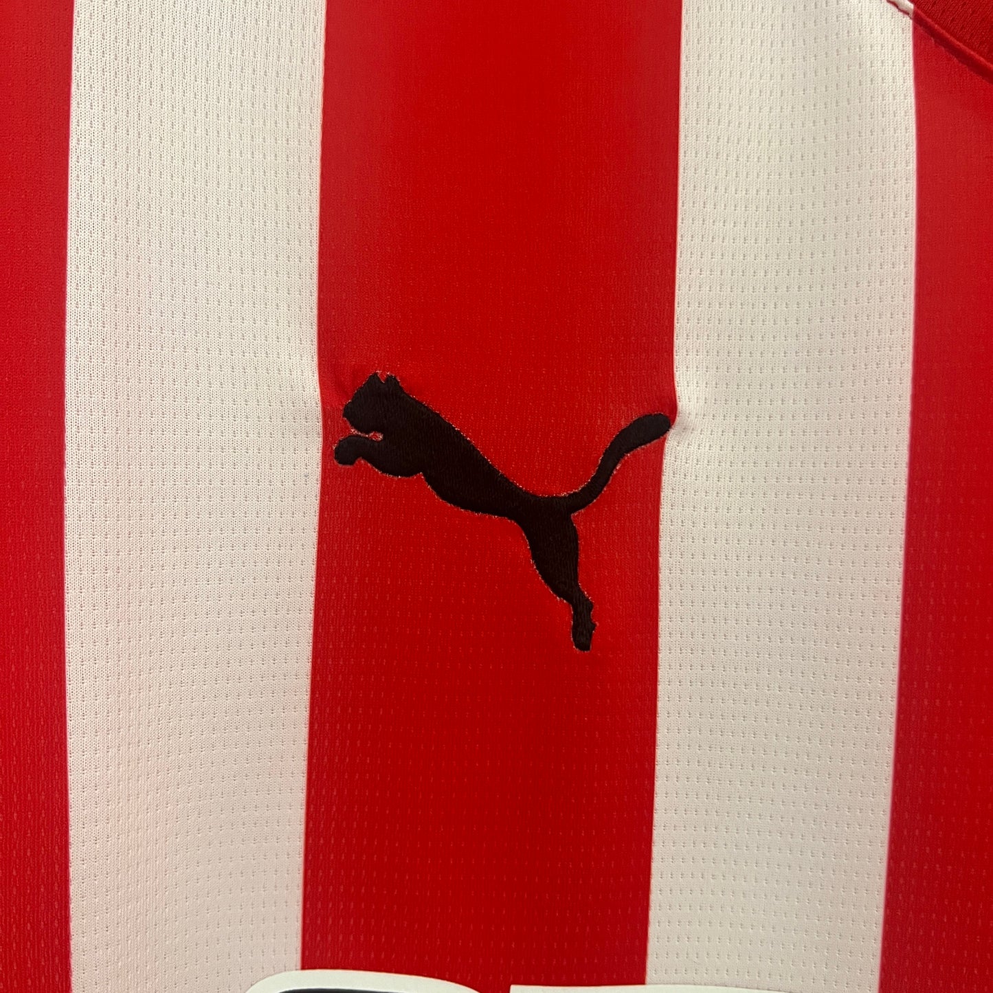 CAMISETA PRIMERA EQUIPACIÓN SPORTING DE GIJÓN 24/25 VERSIÓN FAN