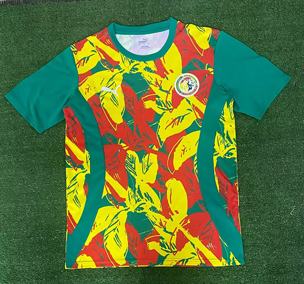 CAMISETA ENTRENAMIENTO SENEGAL VERSIÓN FAN