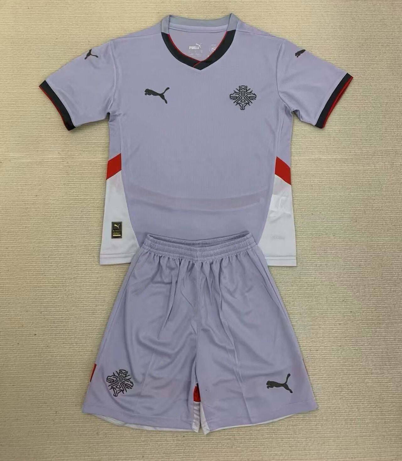 CAMISETA SEGUNDA EQUIPACIÓN ISLANDIA 2024 VERSIÓN INFANTIL