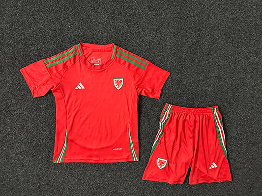 CAMISETA PRIMERA EQUIPACIÓN GALES 2024 VERSIÓN INFANTIL