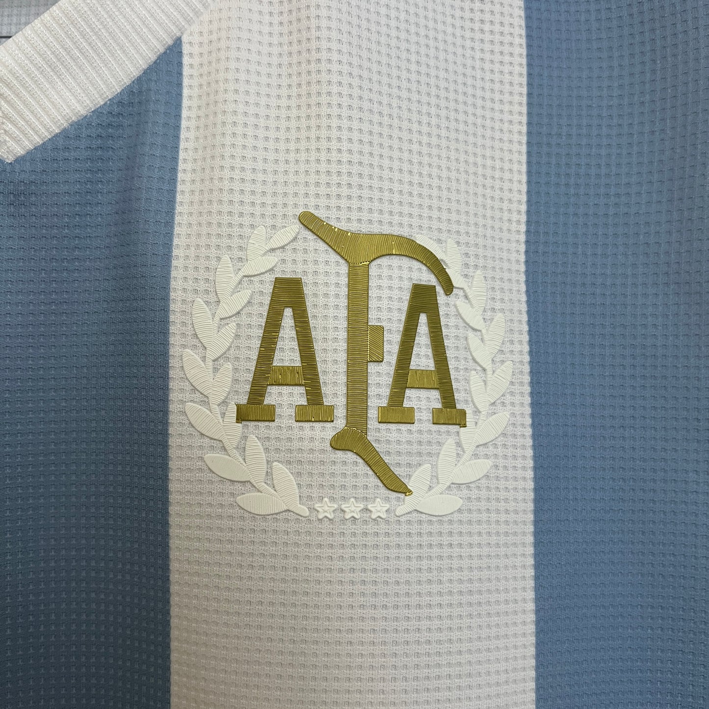 CAMISETA EDICIÓN ESPECIAL ARGENTINA 2024 VERSIÓN FAN