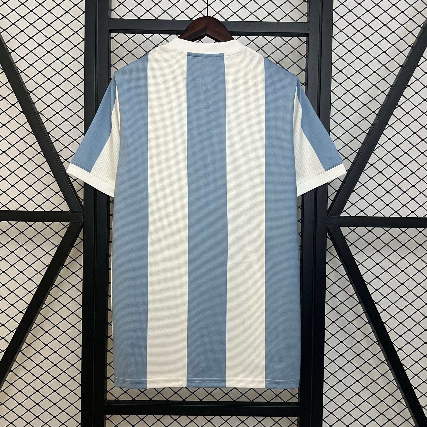 CAMISETA EDICIÓN ESPECIAL ARGENTINA 2024 VERSIÓN FAN