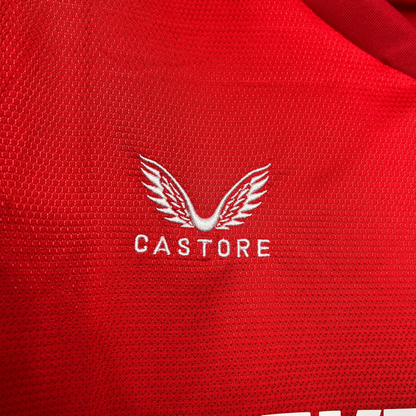 CAMISETA PRIMERA EQUIPACIÓN TWENTE 24/25 VERSIÓN FAN