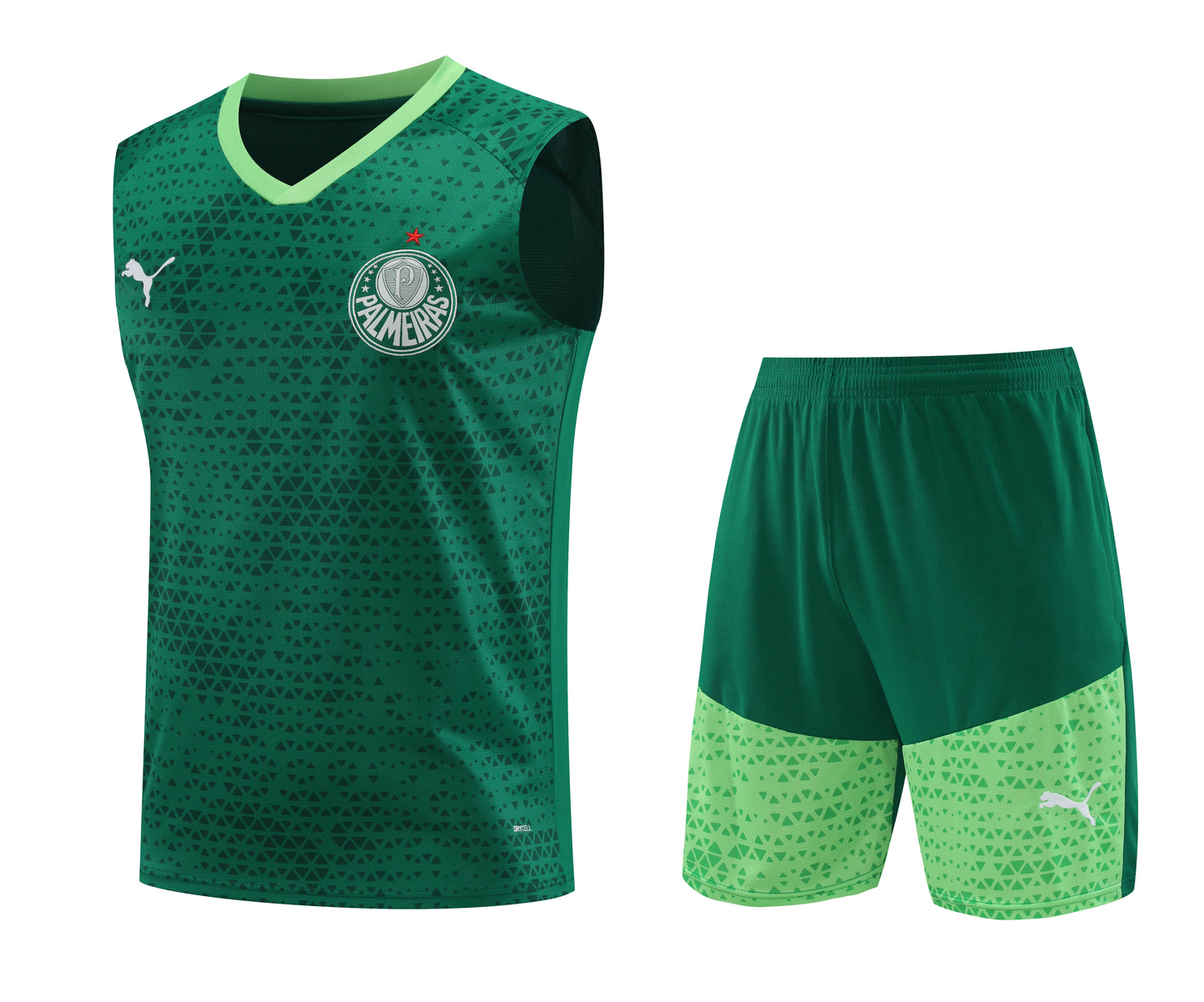 CONJUNTO DE ENTRENAMIENTO PALMEIRAS 24/25