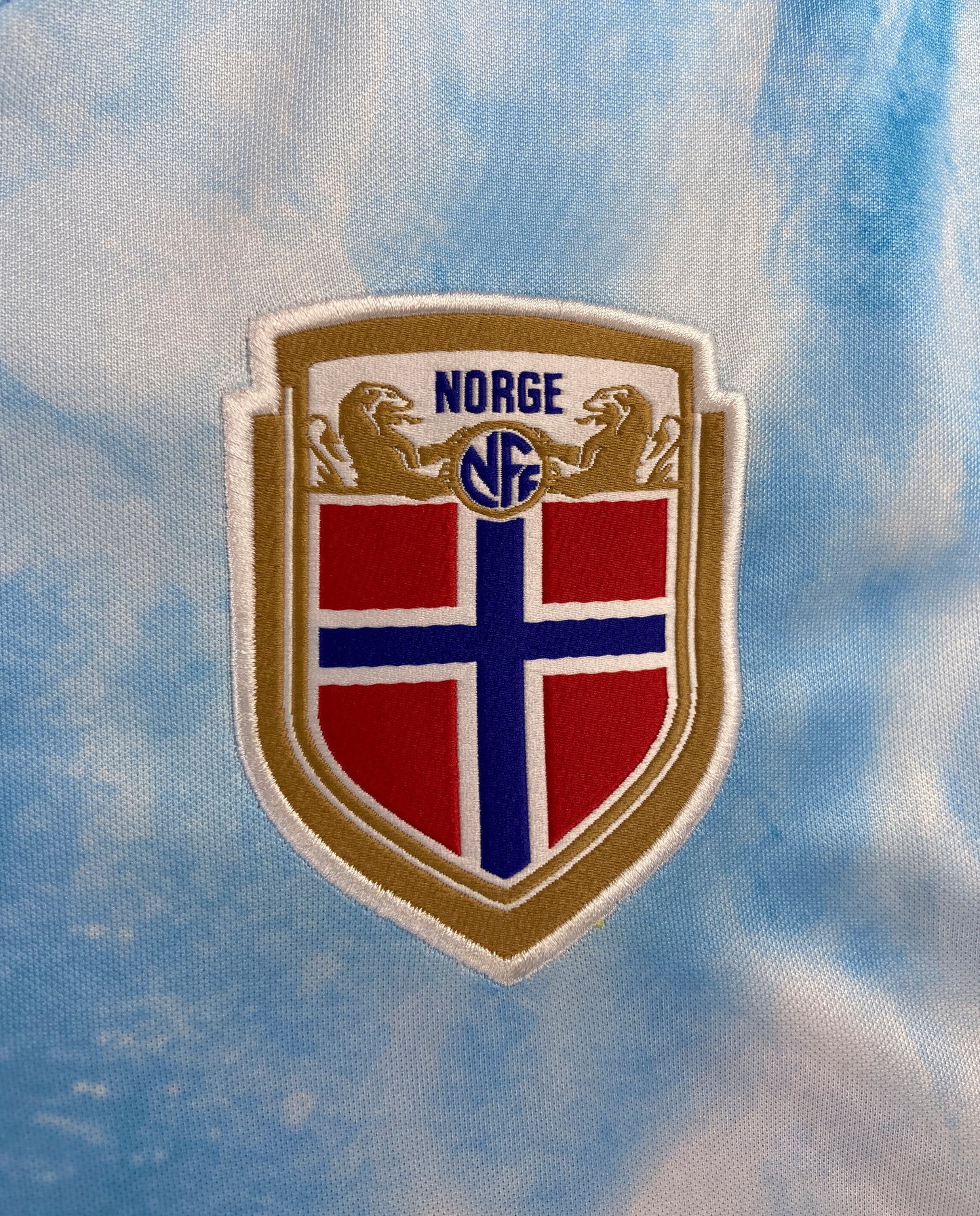 CAMISETA SEGUNDA EQUIPACIÓN NORUEGA 2020 VERSIÓN FAN