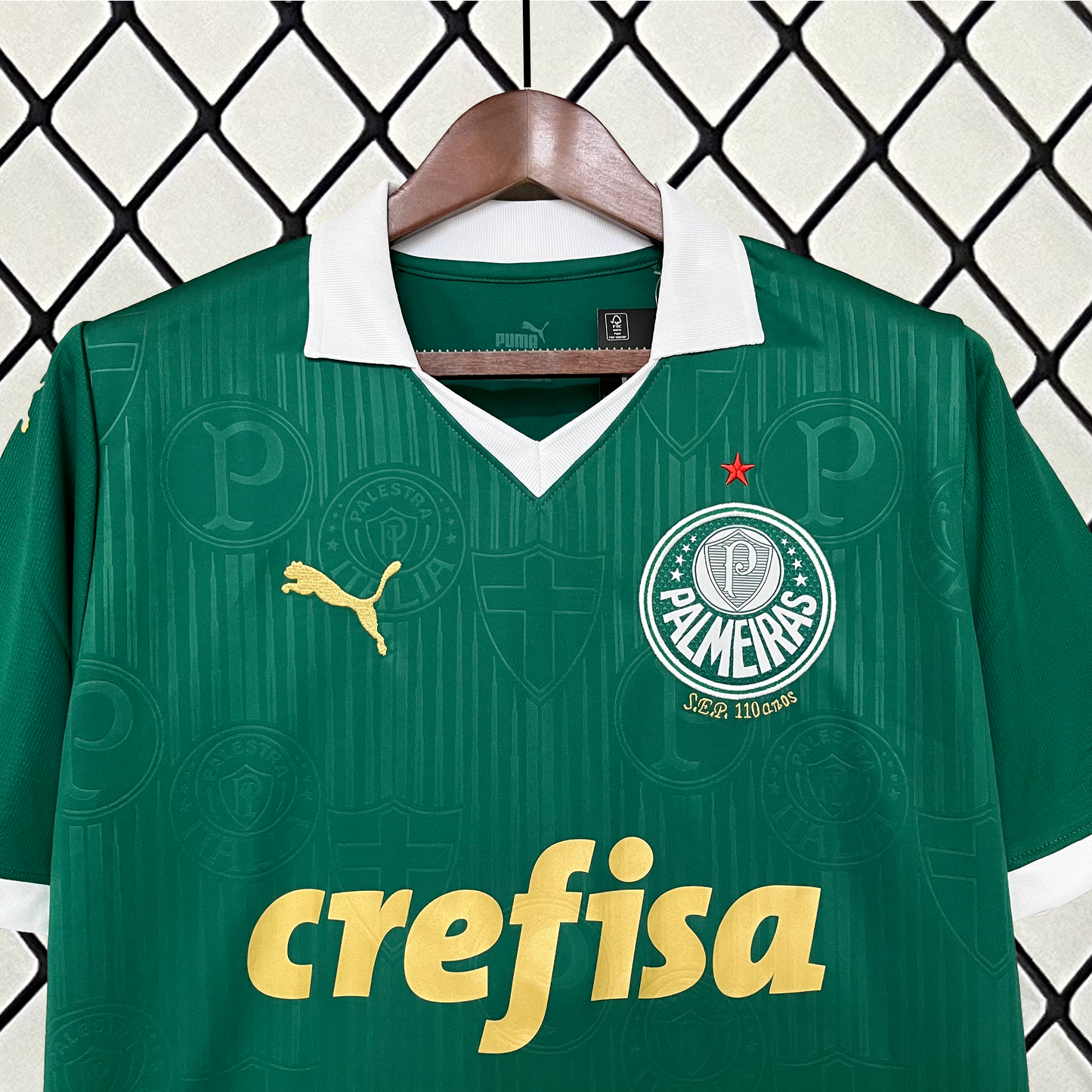 CAMISETA PRIMERA EQUIPACIÓN PALMEIRAS 2024 VERSIÓN FAN