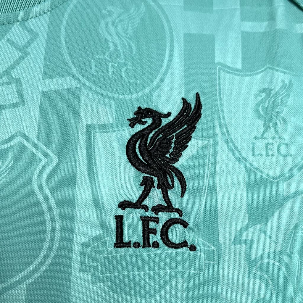 CAMISETA ENTRENAMIENTO LIVERPOOL 24/25 VERSIÓN FAN