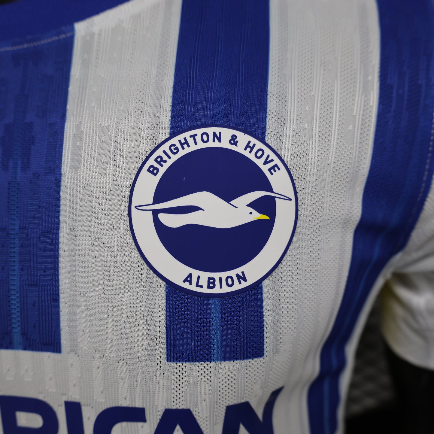 CAMISETA PRIMERA EQUIPACIÓN BRIGHTON 24/25 VERSIÓN JUGADOR