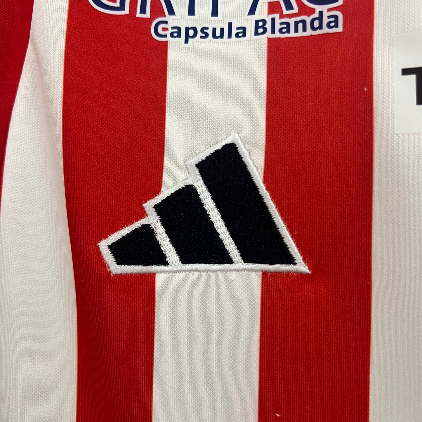 CAMISETA PRIMERA EQUIPACIÓN CLUB JUNIOR 2024 VERSIÓN FAN