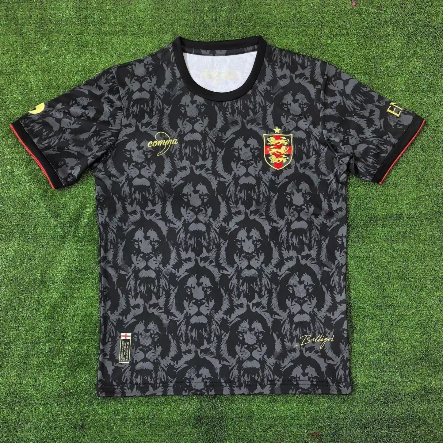 CAMISETA CONCEPTO INGLATERRA 2024 VERSIÓN FAN