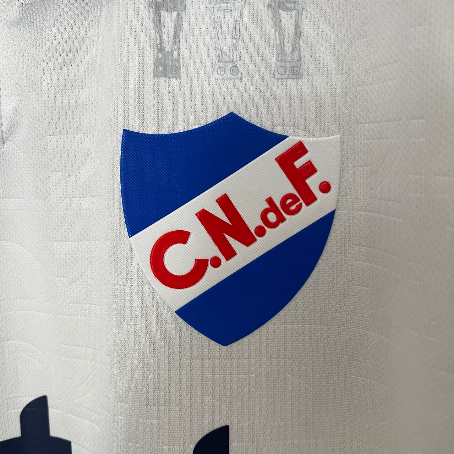 CAMISETA PRIMERA EQUIPACIÓN NACIONAL 2024 VERSIÓN FAN