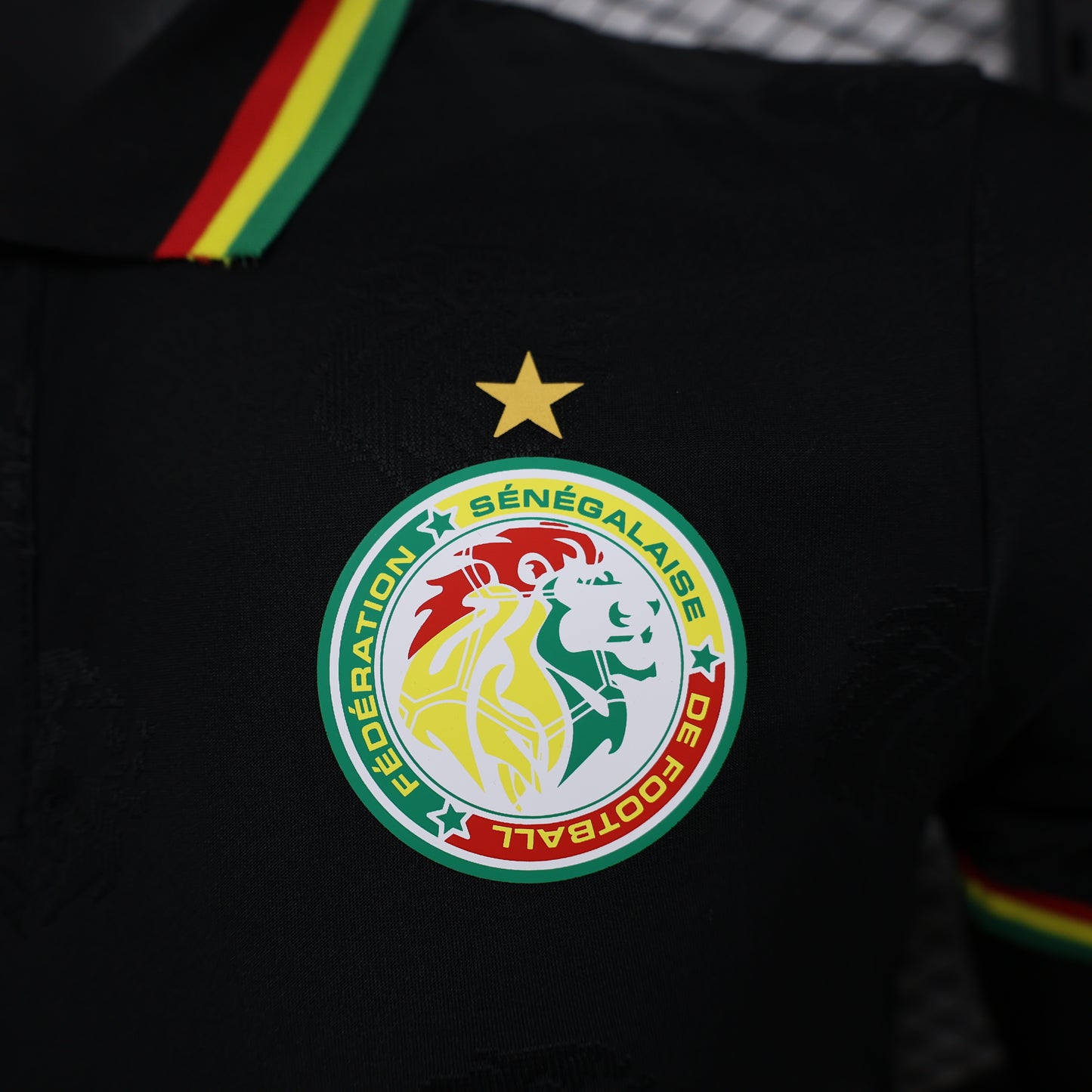 CAMISETA CONCEPTO SENEGAL 2024 VERSIÓN JUGADOR