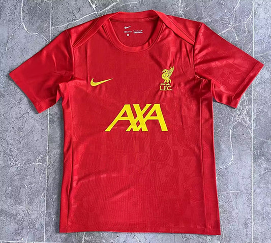 CAMISETA ENTRENAMIENTO LIVERPOOL 24/25 VERSIÓN FAN