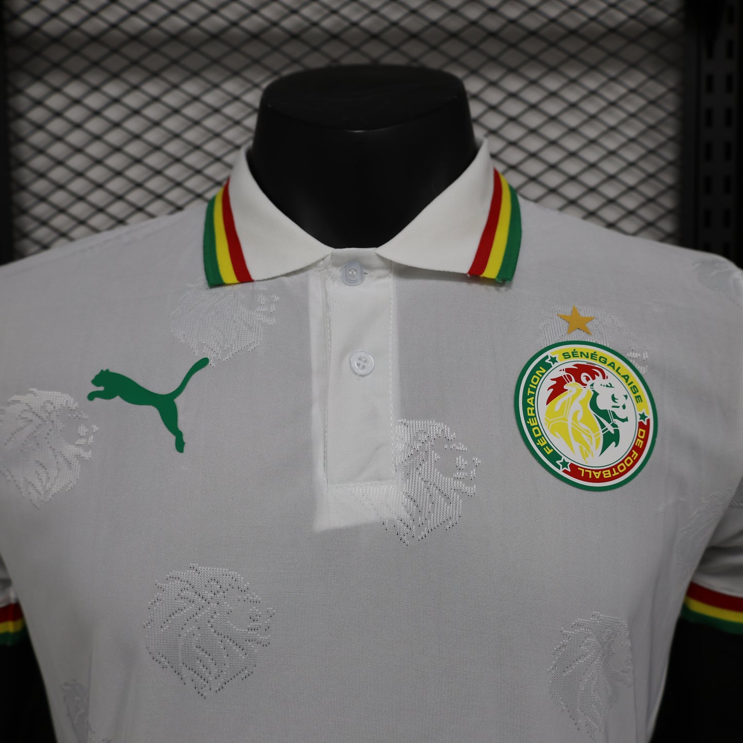 CAMISETA CONCEPTO SENEGAL 2024 VERSIÓN JUGADOR