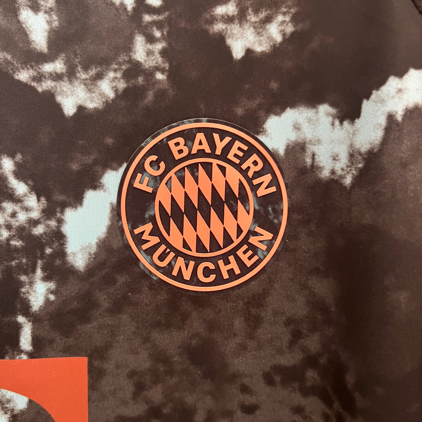 CAMISETA SEGUNDA EQUIPACIÓN BAYERN MUNICH 24/25 VERSIÓN FAN