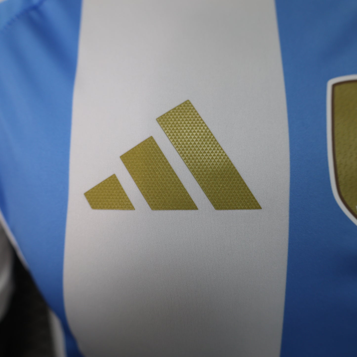 CAMISETA PRIMERA EQUIPACIÓN ARGENTINA 2024 VERSIÓN JUGADOR