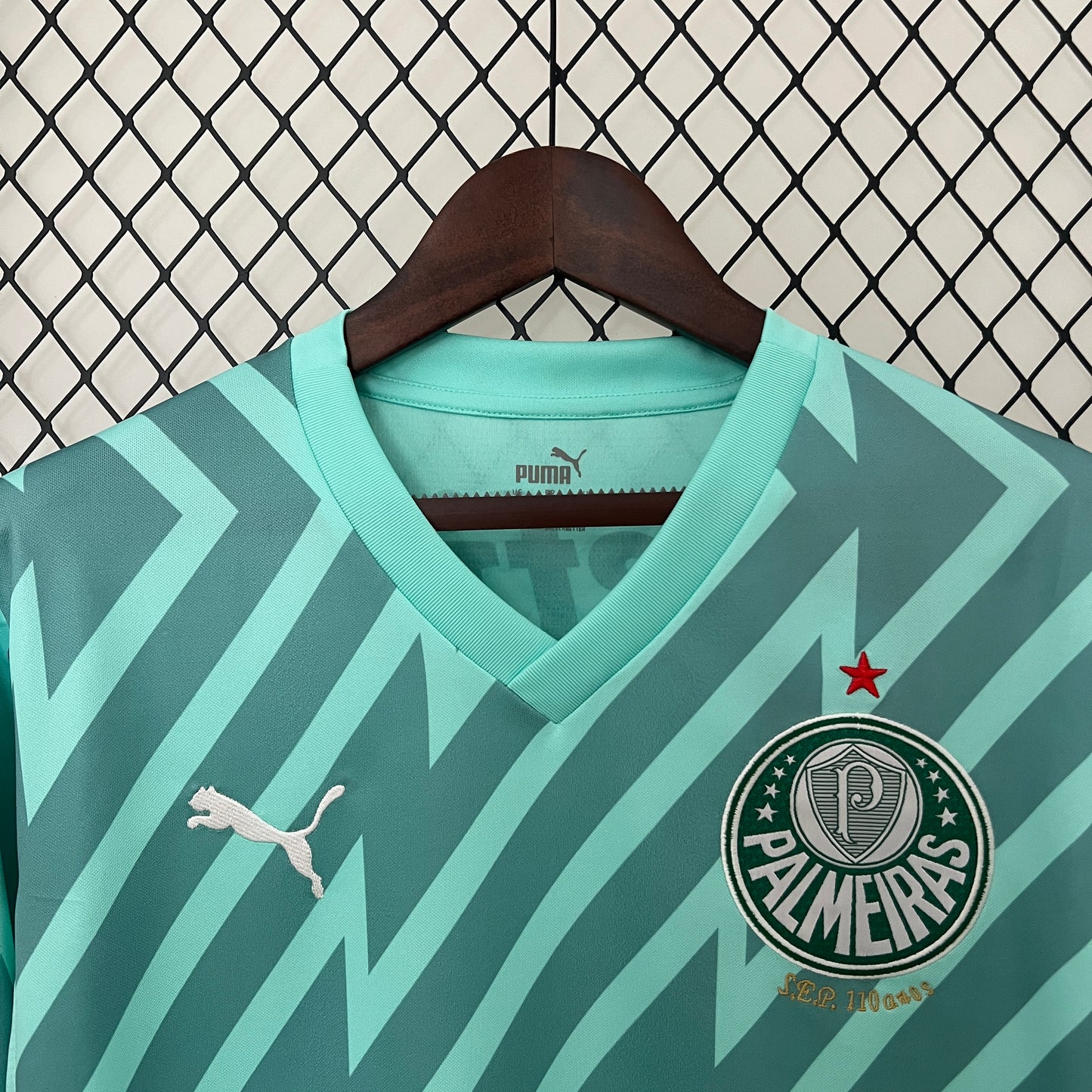 CAMISETA ARQUERO PALMEIRAS 2024 VERSIÓN FAN