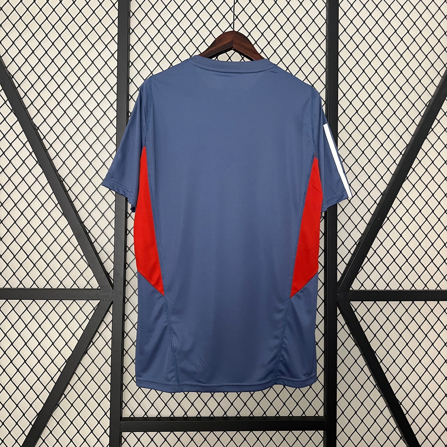 CAMISETA ENTRENAMIENTO CRUZEIRO 2024 VERSIÓN FAN