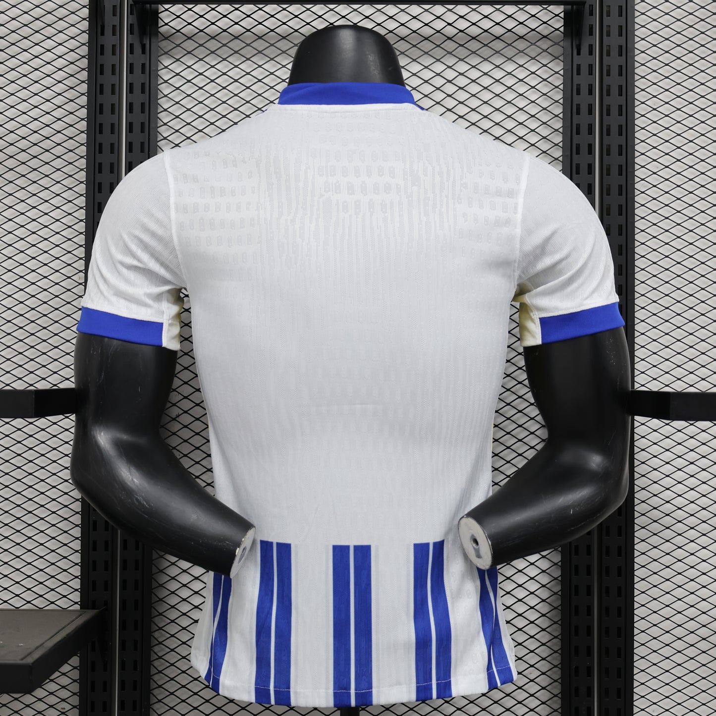 CAMISETA PRIMERA EQUIPACIÓN BRIGHTON 24/25 VERSIÓN JUGADOR