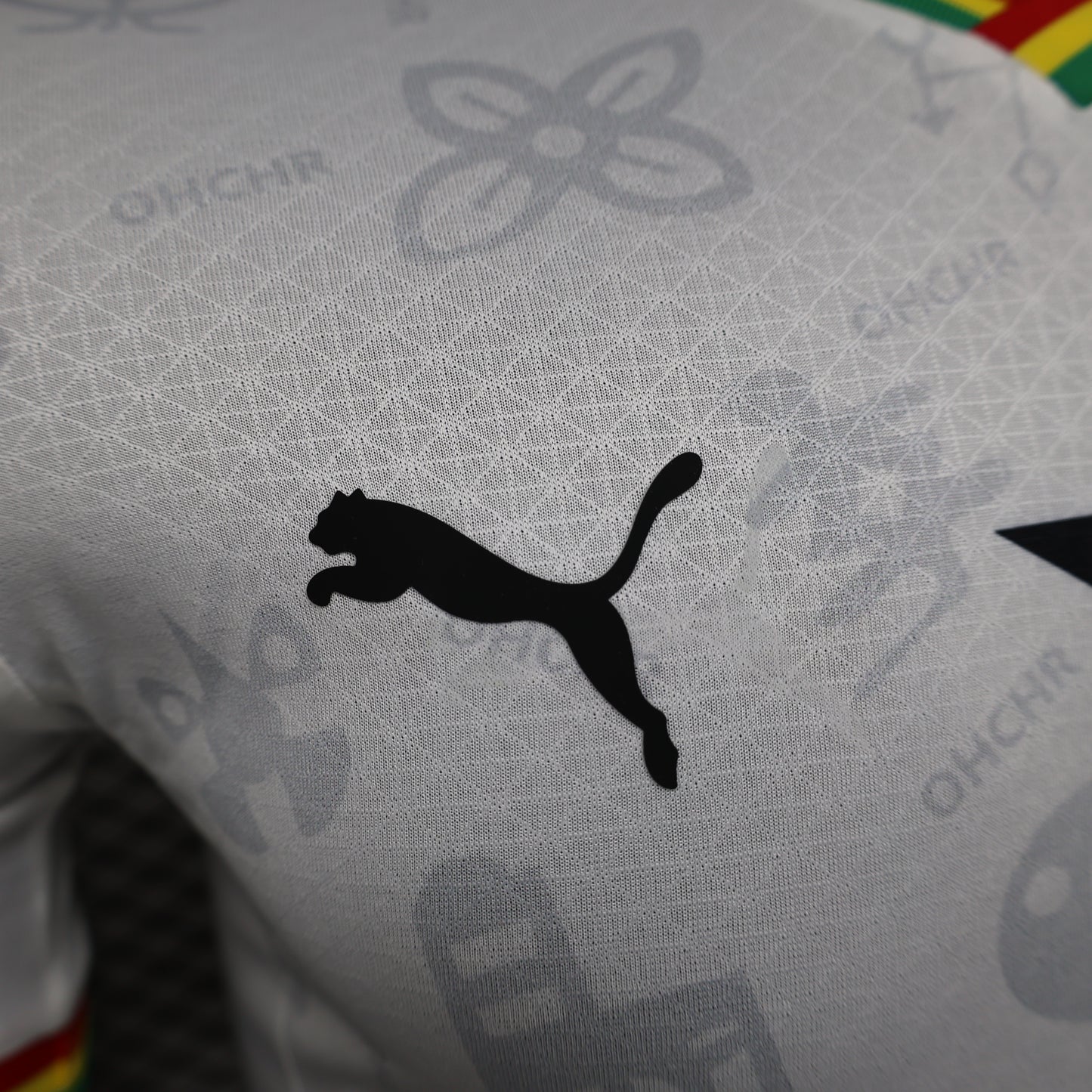 CAMISETA PRIMERA EQUIPACIÓN GHANA 2024 VERSIÓN JUGADOR