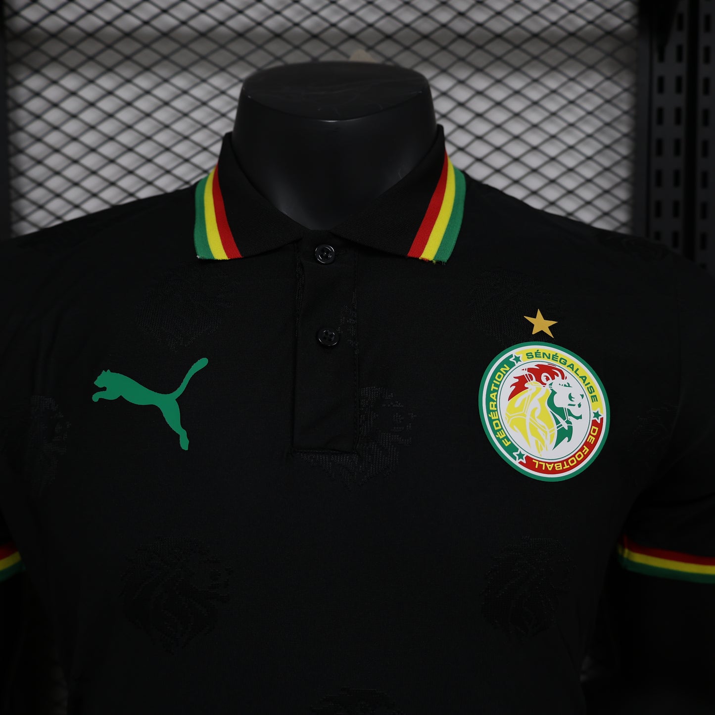 CAMISETA CONCEPTO SENEGAL 2024 VERSIÓN JUGADOR