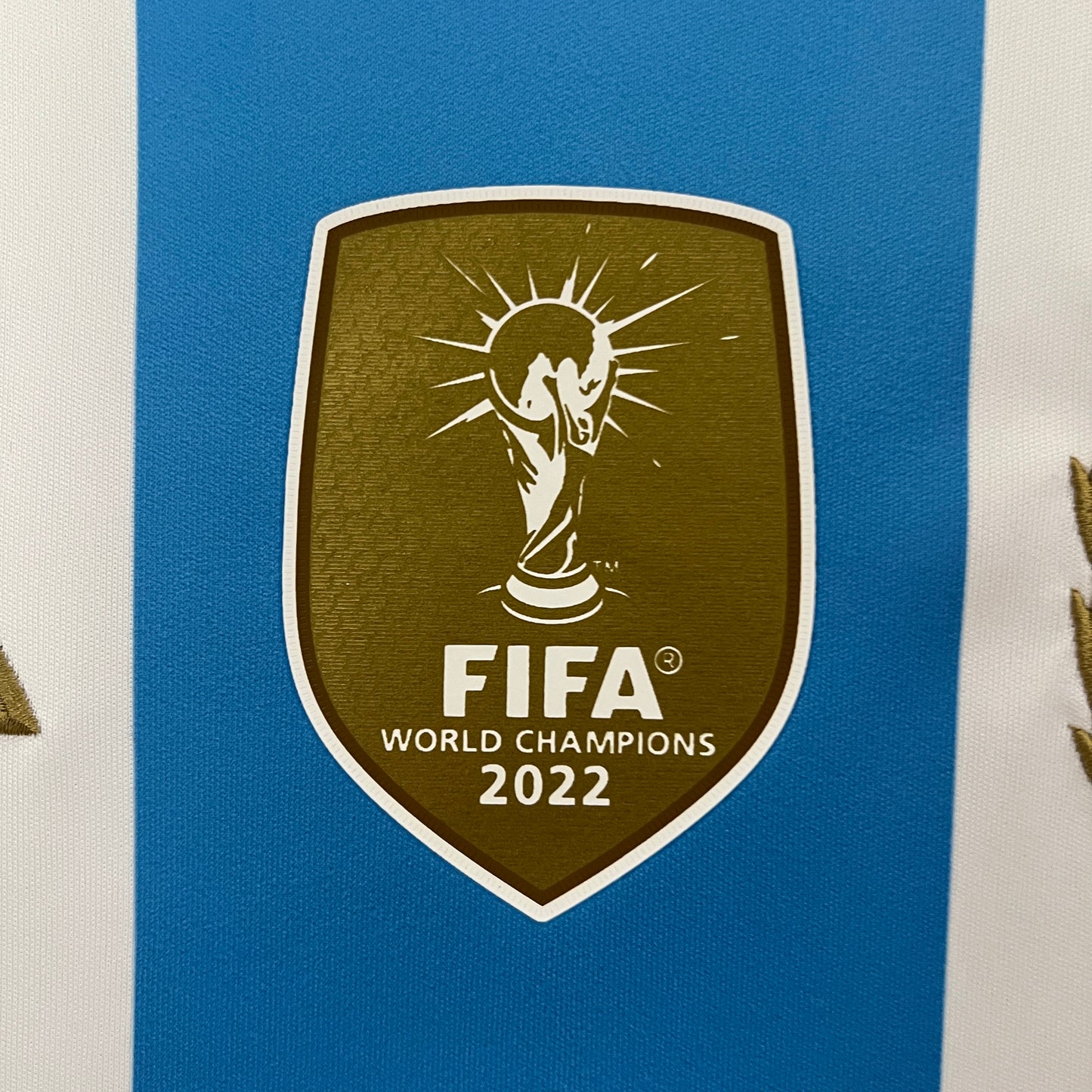 CAMISETA PRIMERA EQUIPACIÓN ARGENTINA 2024 VERSIÓN FAN