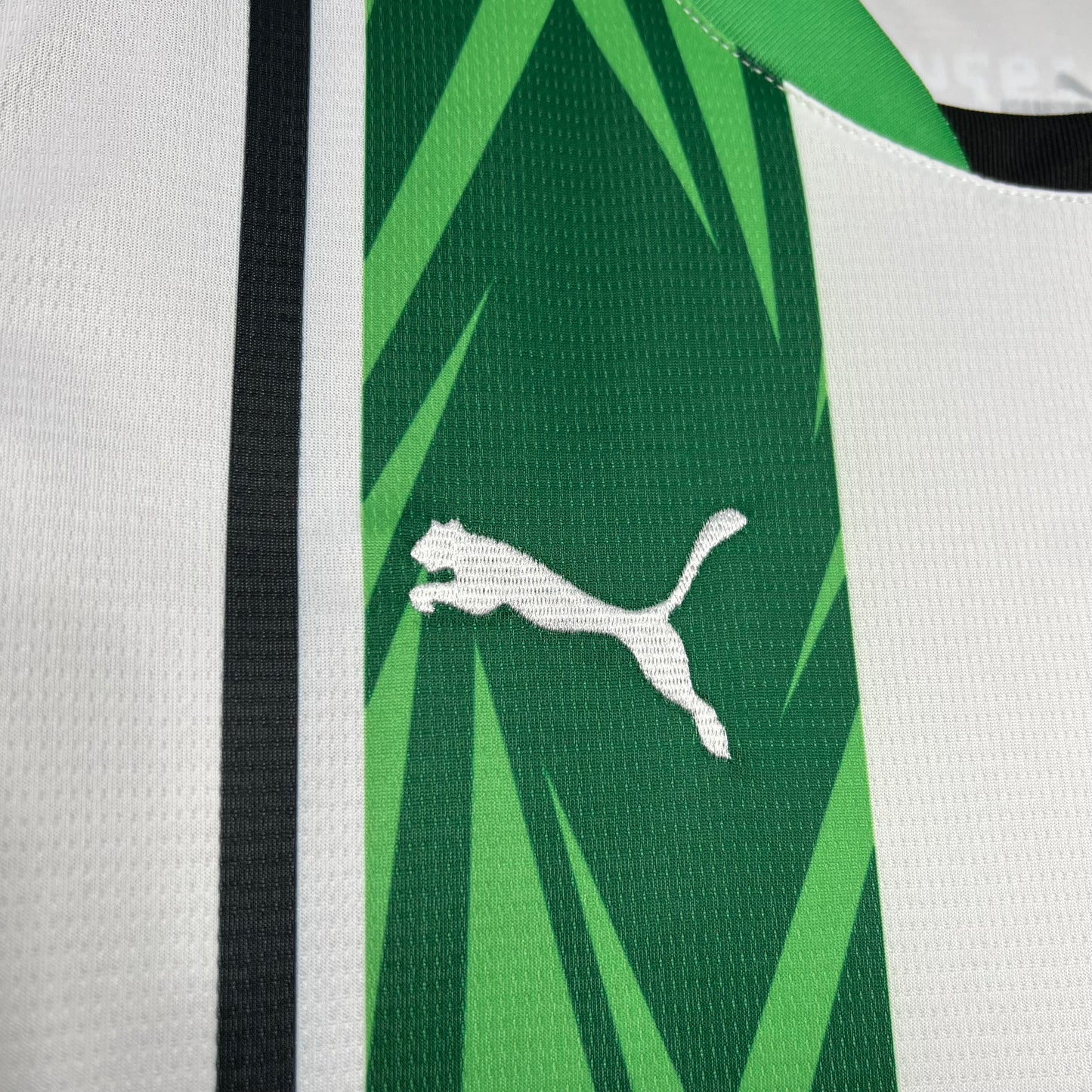 CAMISETA PRIMERA EQUIPACIÓN BORUSSIA MÖNCHENGLADBACH 24/25 VERSIÓN FAN