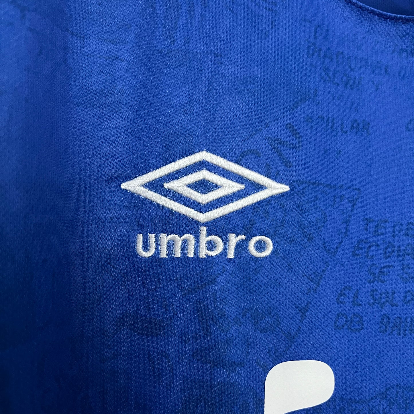 CAMISETA TERCERA EQUIPACIÓN NACIONAL 2024 VERSIÓN FAN