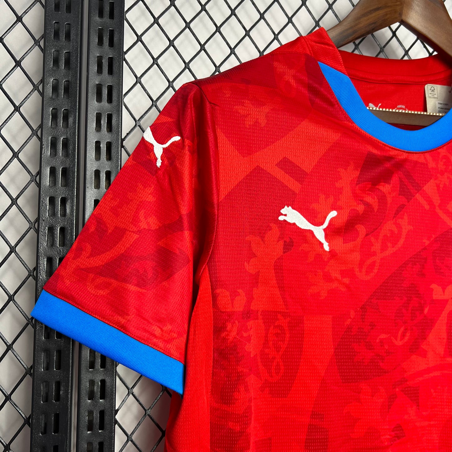 CAMISETA PRIMERA EQUIPACIÓN REPÚBLICA CHECA 2024 VERSIÓN FAN