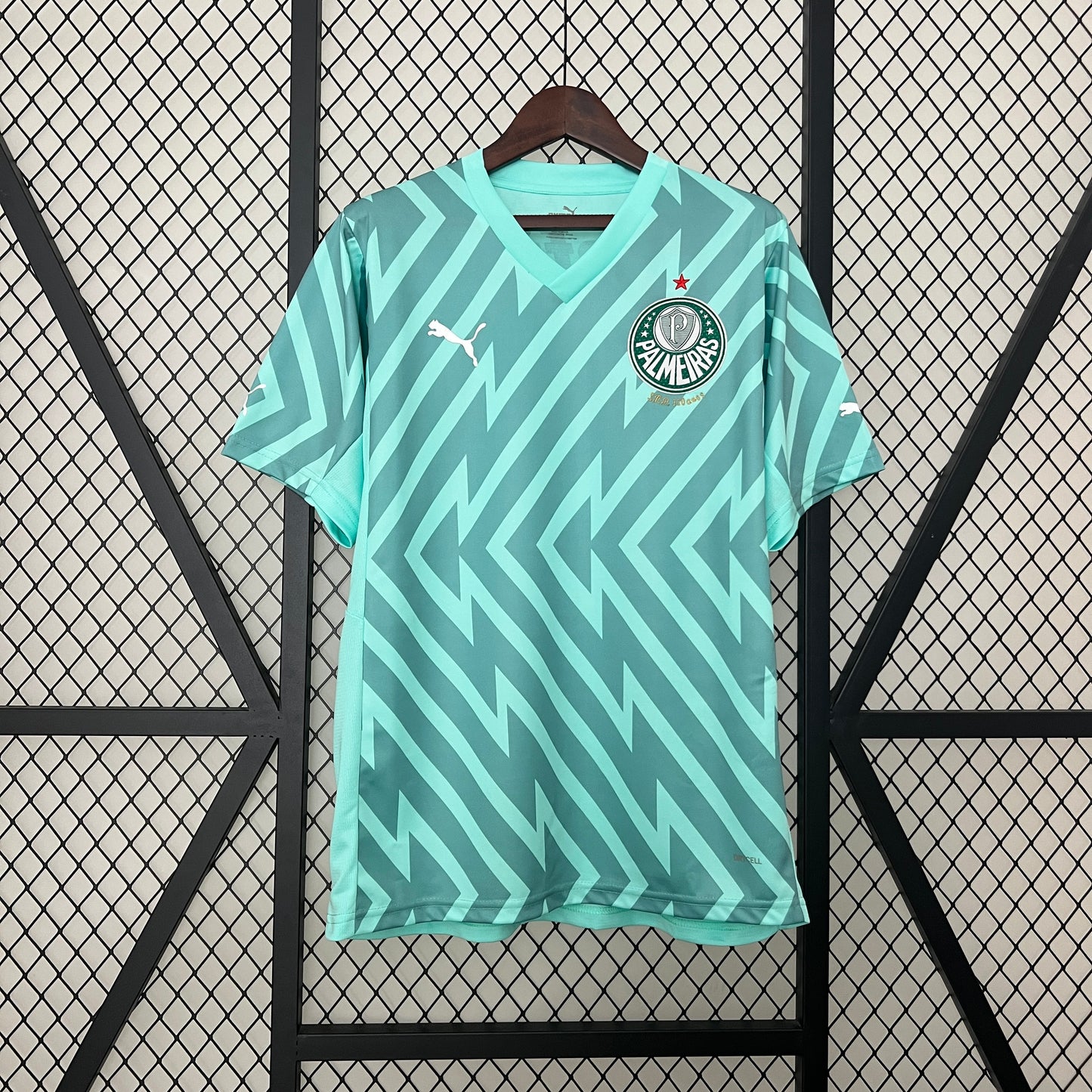 CAMISETA ARQUERO PALMEIRAS 2024 VERSIÓN FAN