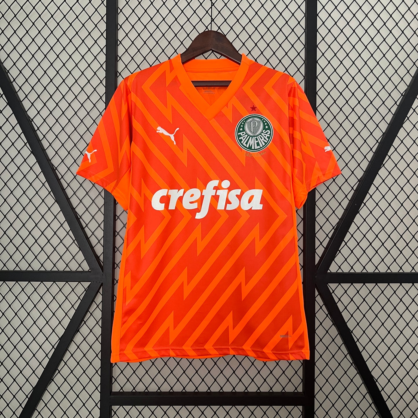 CAMISETA ARQUERO PALMEIRAS 2024 VERSIÓN FAN