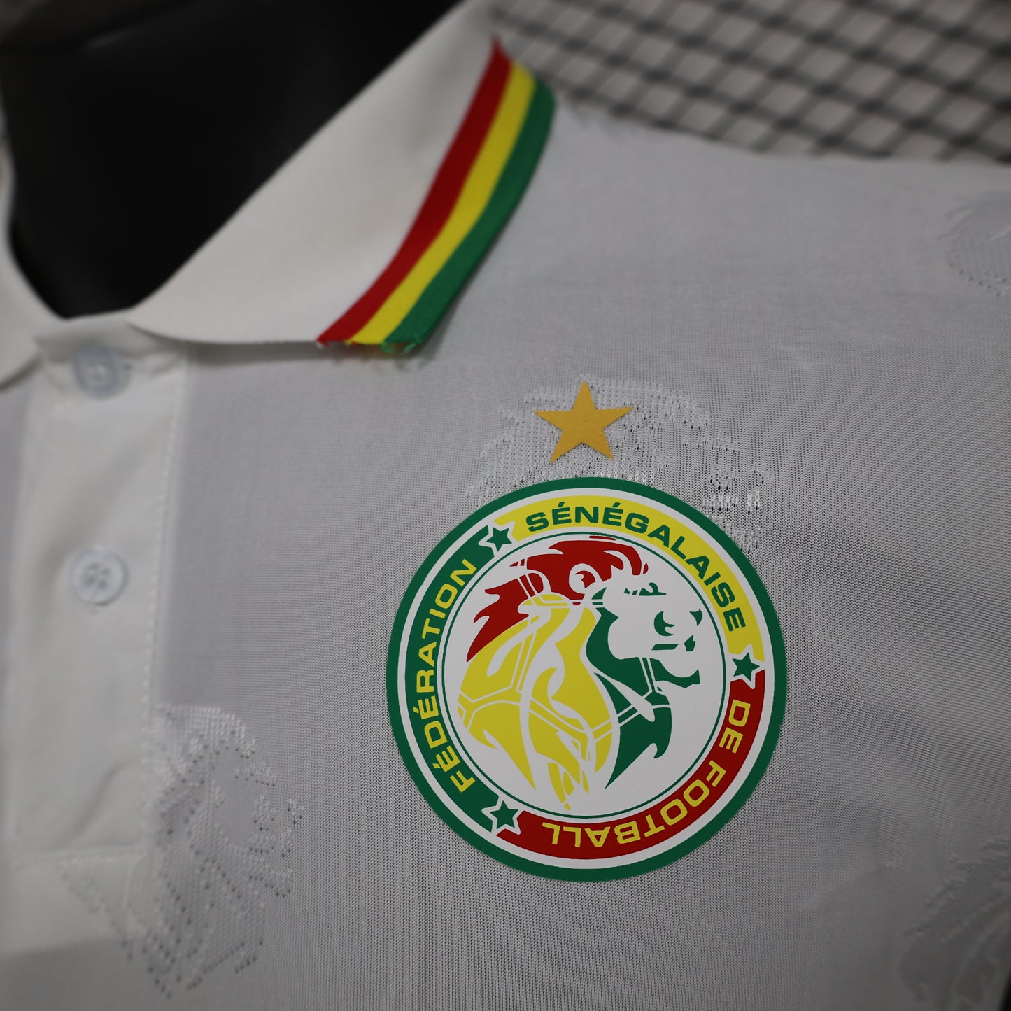 CAMISETA CONCEPTO SENEGAL 2024 VERSIÓN JUGADOR