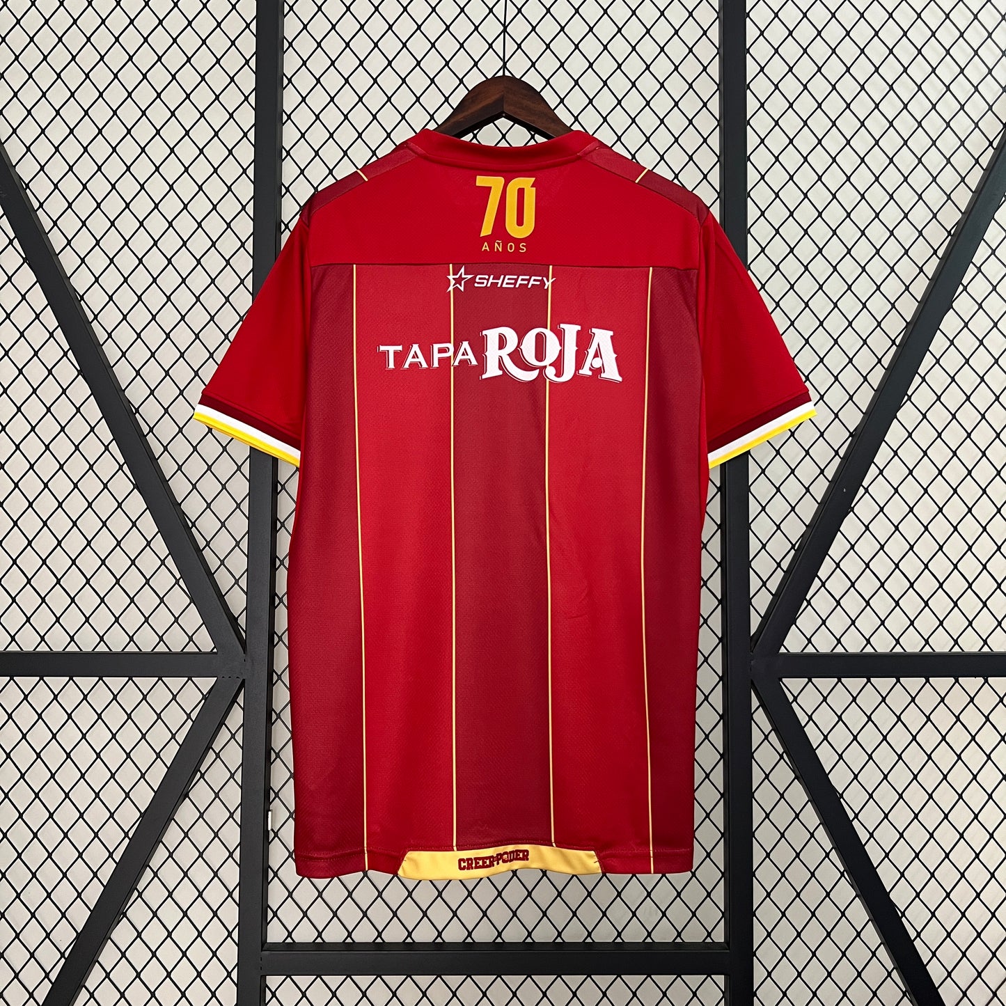 CAMISETA PRIMERA EQUIPACIÓN DEPORTES TOLIMA 2024 VERSIÓN FAN