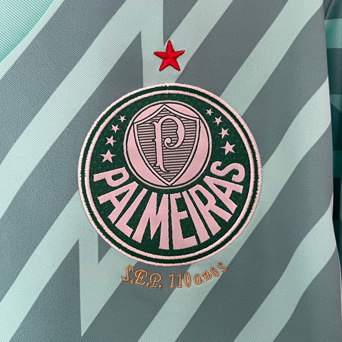 CAMISETA ARQUERO PALMEIRAS 2024 VERSIÓN FAN