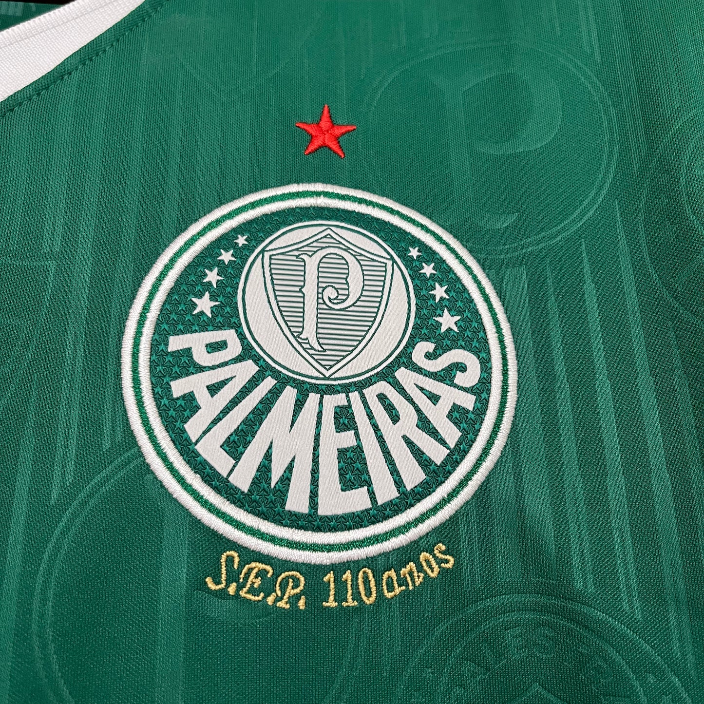 CAMISETA PRIMERA EQUIPACIÓN PALMEIRAS 2024 VERSIÓN FAN