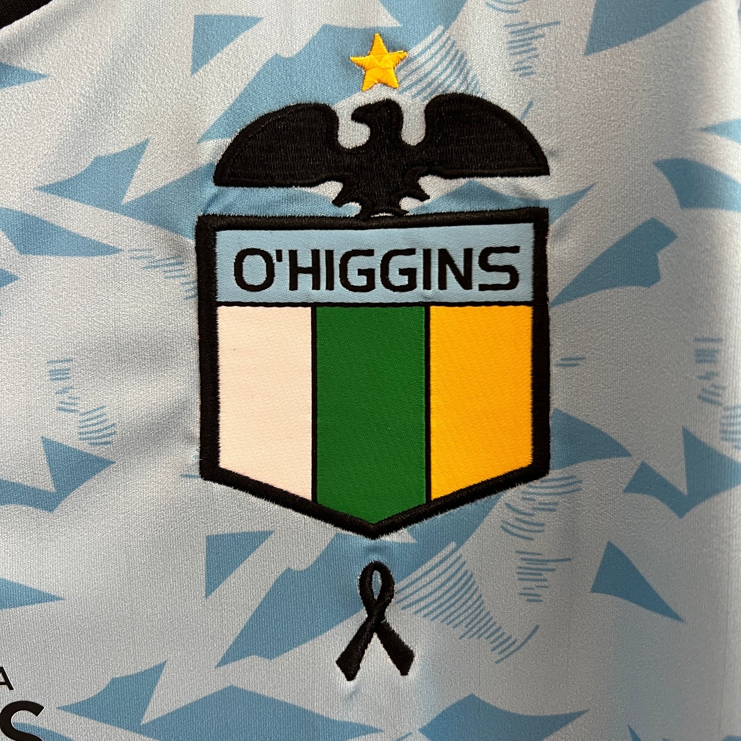 CAMISETA PRIMERA EQUIPACIÓN O'HIGGINS 2024 VERSIÓN FAN