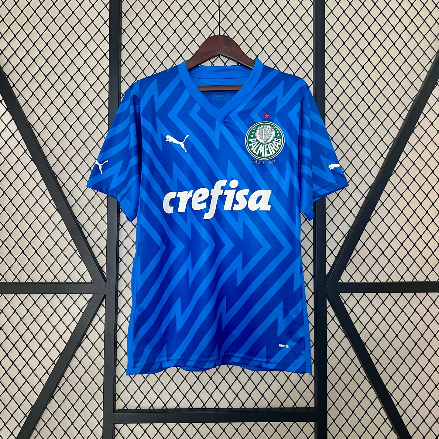 CAMISETA ARQUERO PALMEIRAS 2024 VERSIÓN FAN