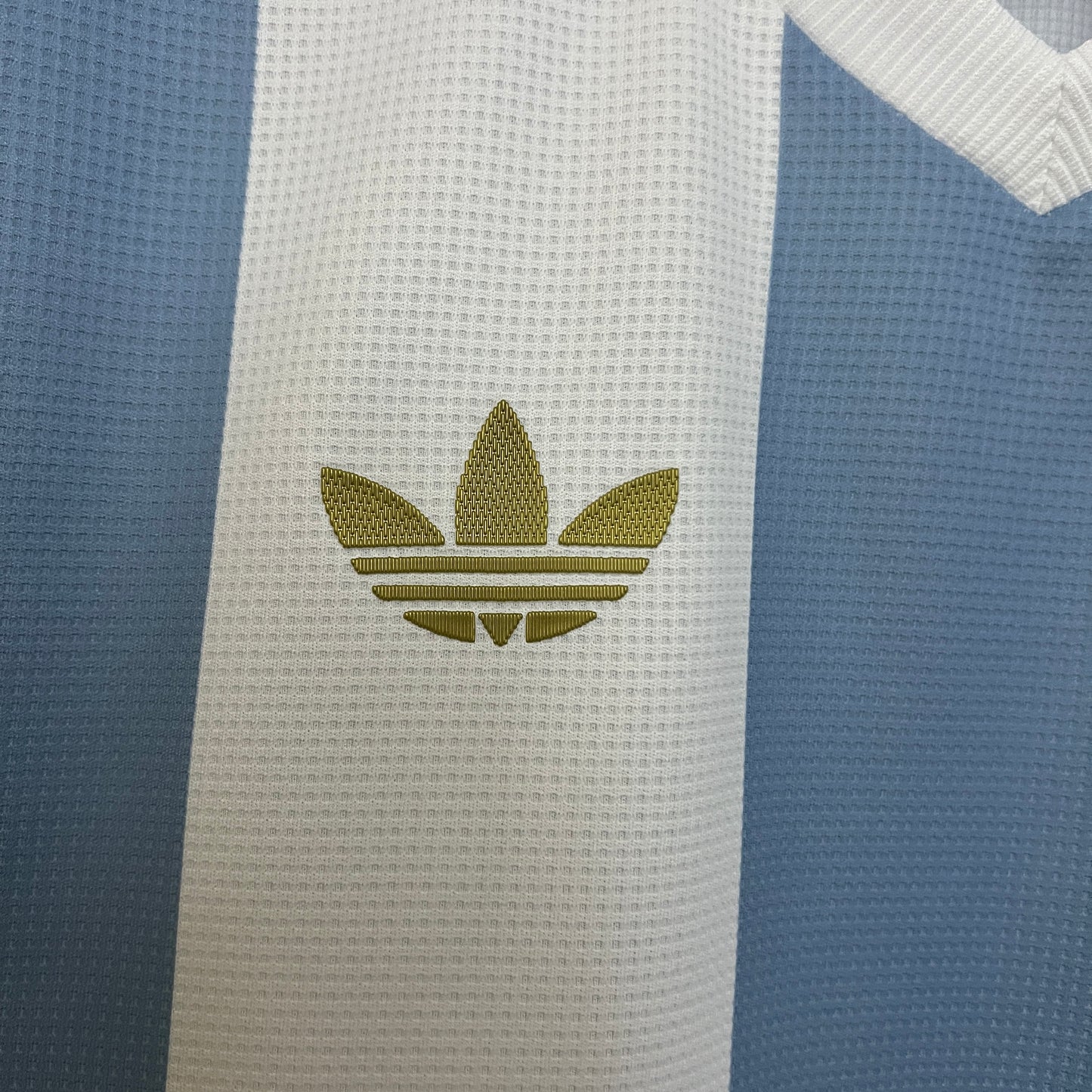 CAMISETA EDICIÓN ESPECIAL ARGENTINA 2024 VERSIÓN FAN