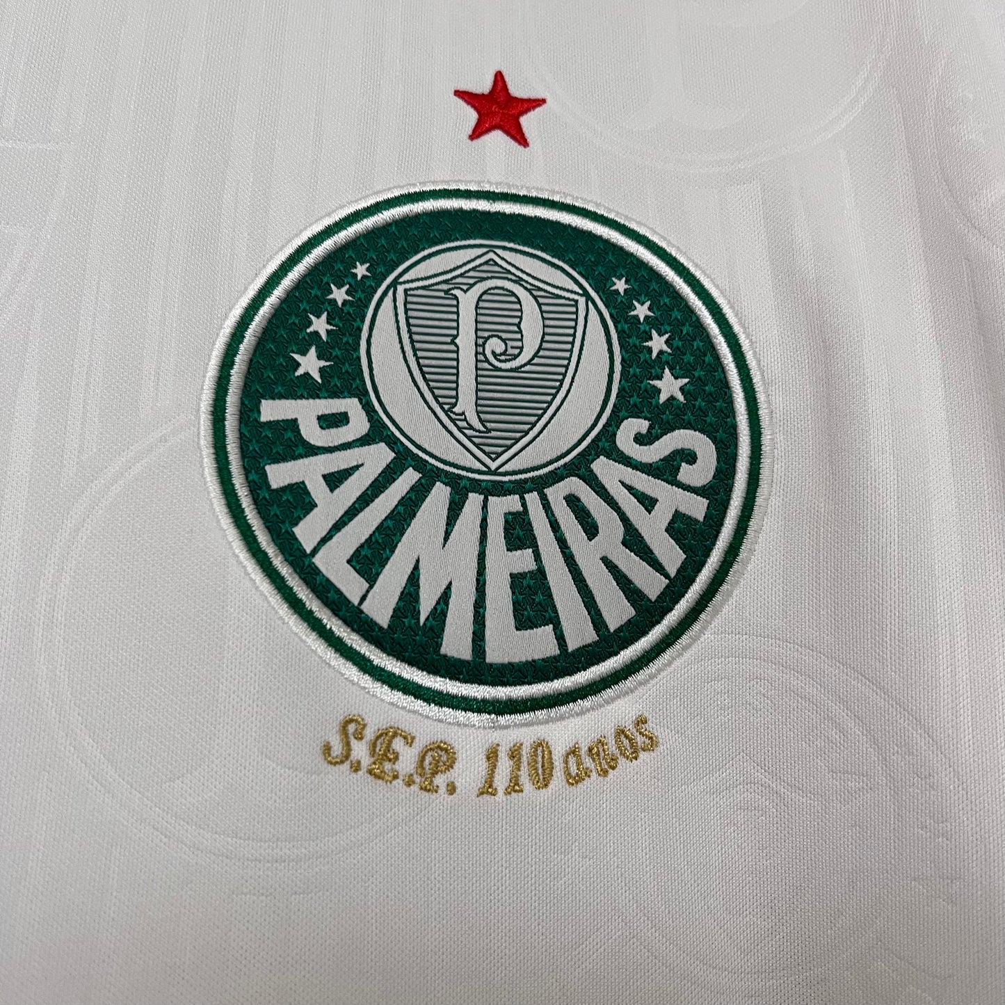 CAMISETA SEGUNDA EQUIPACIÓN PALMEIRAS 2024 VERSIÓN FAN