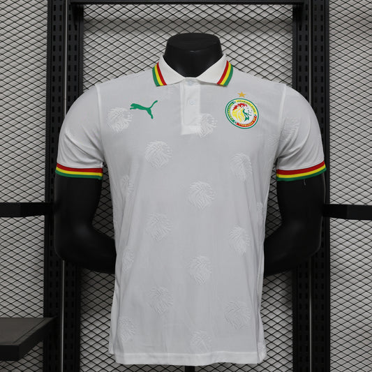 CAMISETA CONCEPTO SENEGAL 2024 VERSIÓN JUGADOR